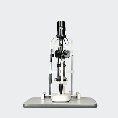 De convergerende Stereoscoop scheurde Lampmicroscoop Twee Stappenvergrotingen